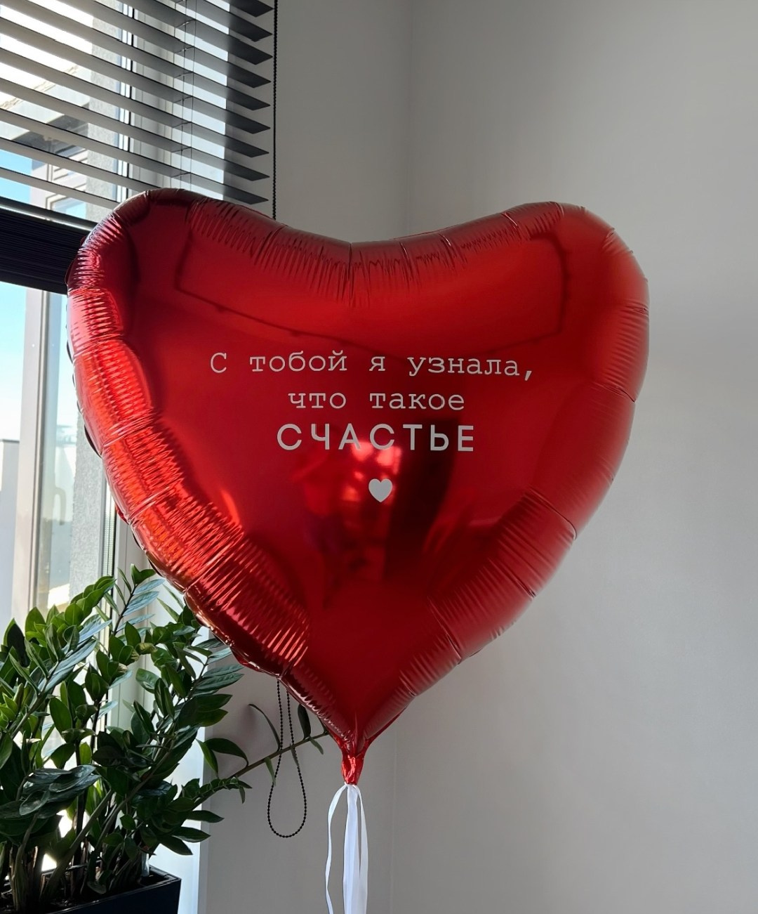 Воздушные шары на день Святого Валентна на 14 февраля. Аэродизайнер Елена Лин