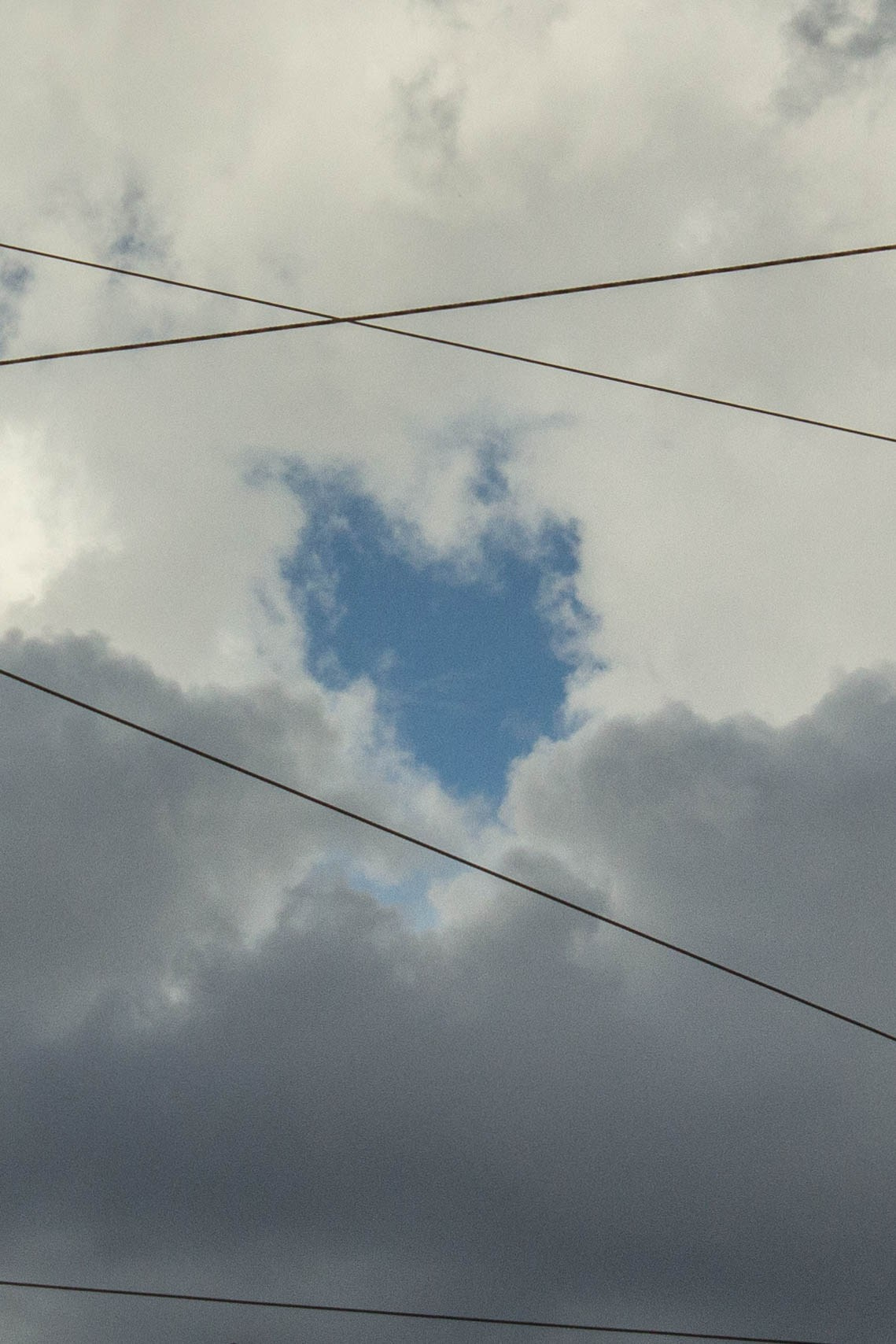 Портфолио. Natashaleto. Моменты в фотоснимках. Портретный / и не только/ фотограф Наталья. Санкт-Петербург