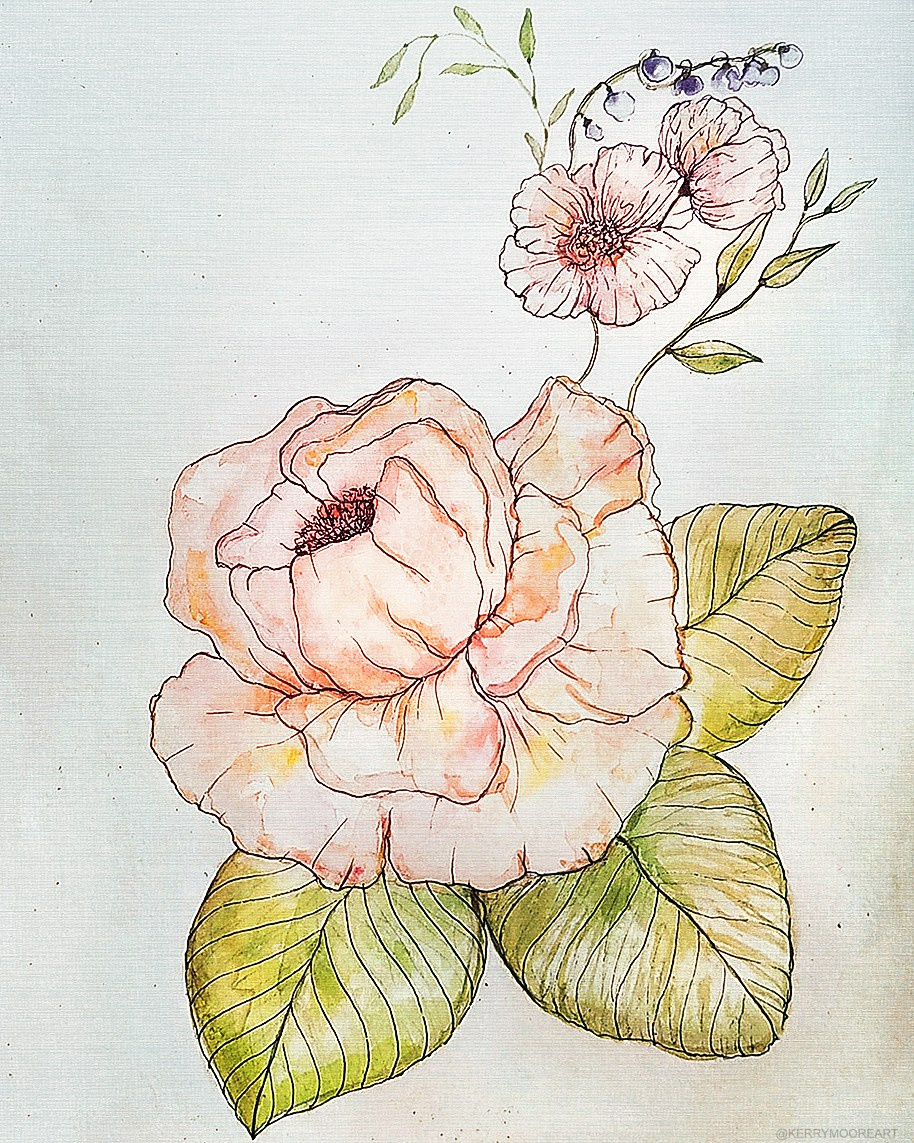 Акварельные иллюстрации и открытки художницы Kerry Moore. Фотограф и художник Kerry Moore