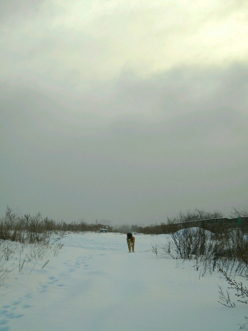 Мои первые работы. Фотограф из Москвы — DASHA NOVA | Авторская фотография в разных жанрах