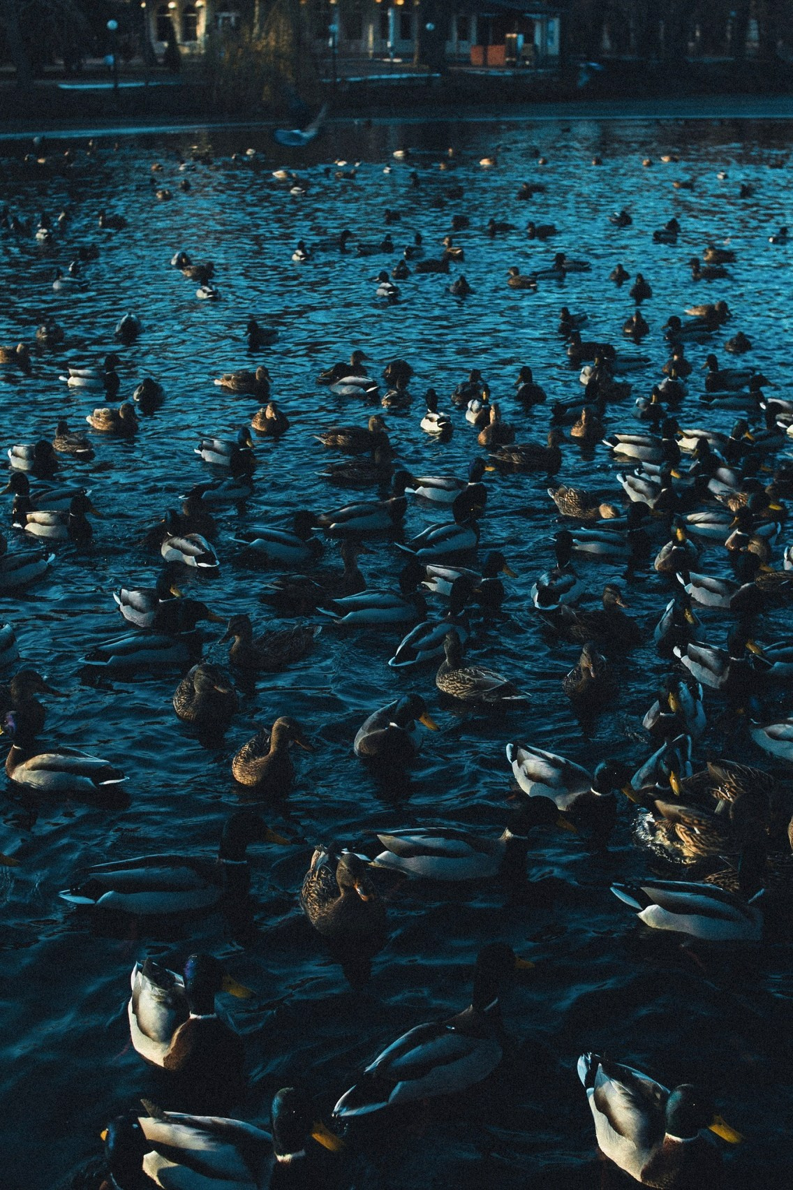 Диптих. Jorgis — фотограф в Хургаде / обучение фотографии