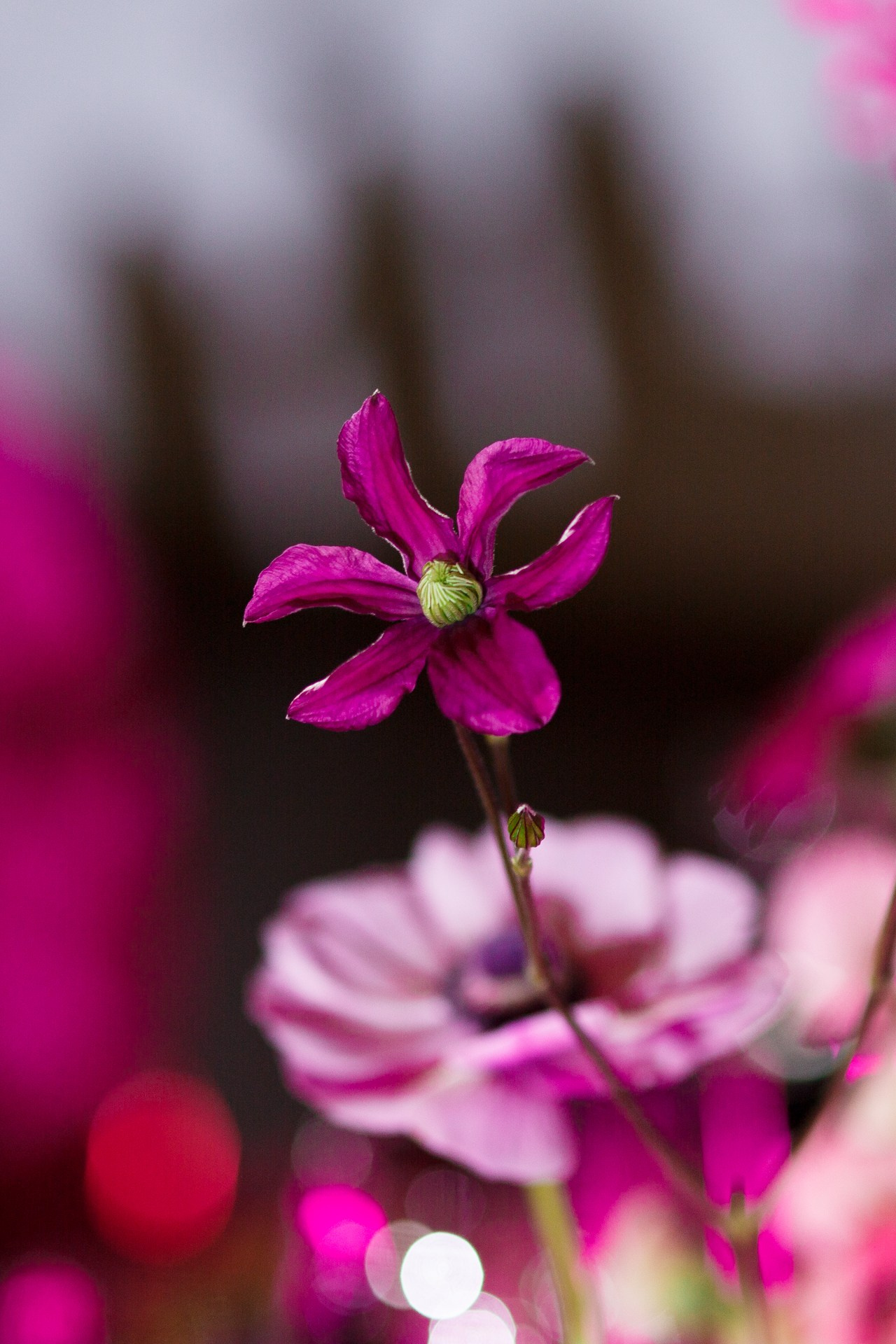 Pink neon. Свадебный фотограф в Санкт-Петербурге Наталья Вендт