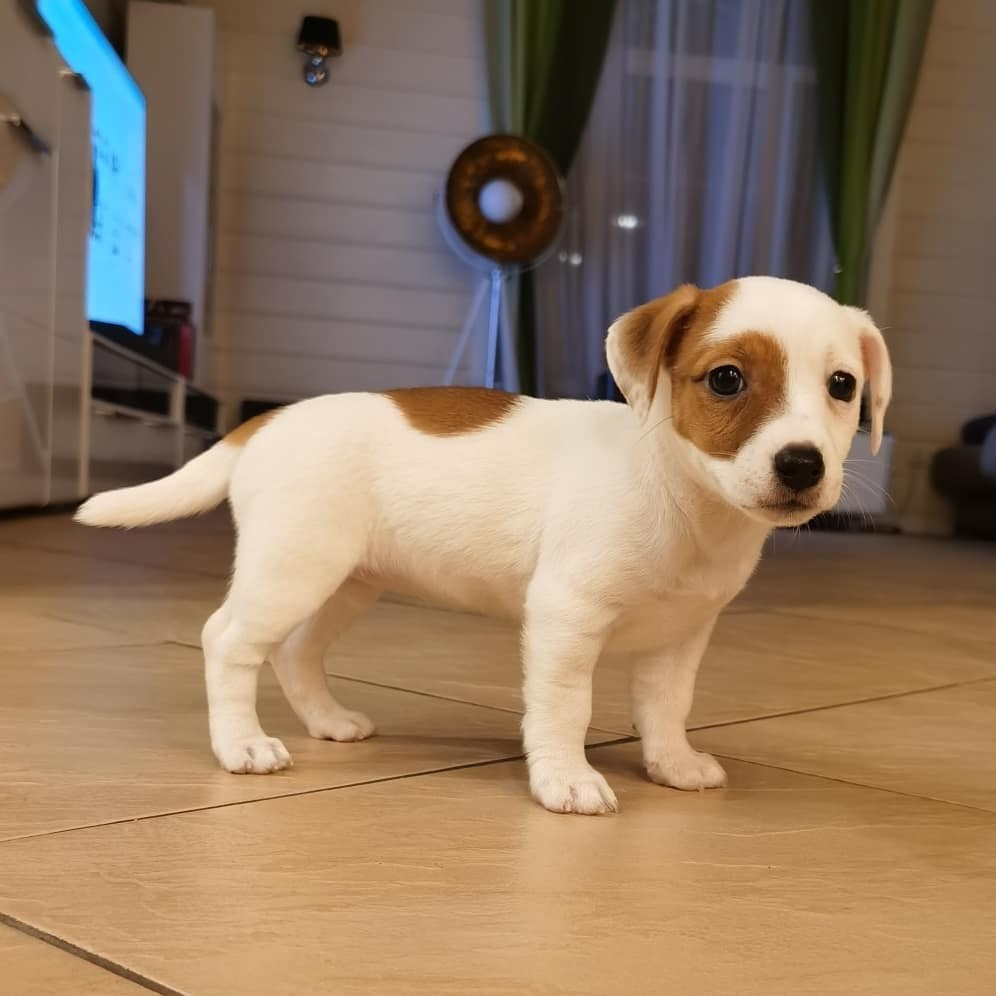 Anka`s Instagram. Заставка