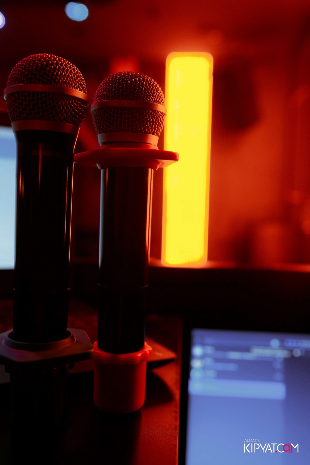 УХО И МЕДВЕДЬ НА ГАГАРИНА. КИПЯТКОМ АЛМАТЫ!