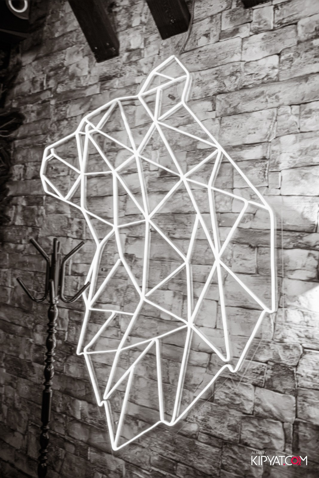 УХО И МЕДВЕДЬ НА КУРМАНГАЗЫ. КИПЯТКОМ АЛМАТЫ!