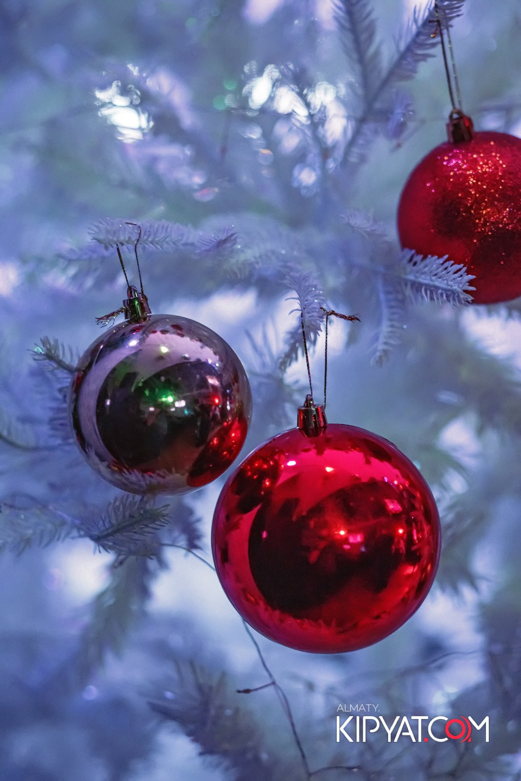 УХО И МЕДВЕДЬ КУРМАНГАЗЫ. КИПЯТКОМ АЛМАТЫ!