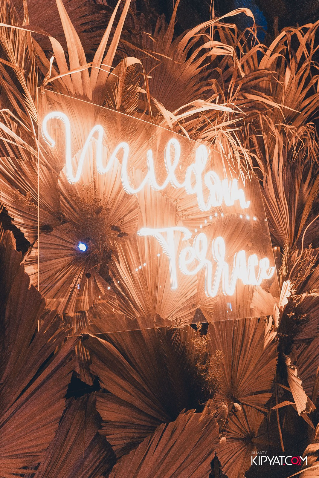 BBQ PARTY B MILDOM TERRACE. КИПЯТКОМ АЛМАТЫ!