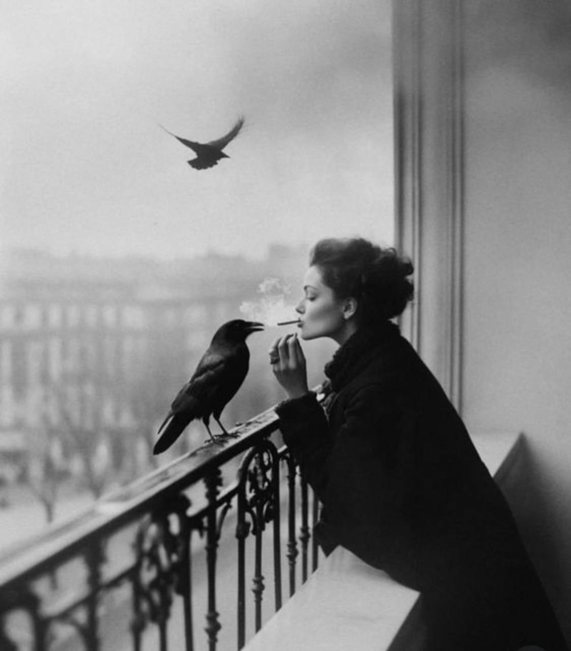 Страница со стихами. Поэт Александр Зайцев