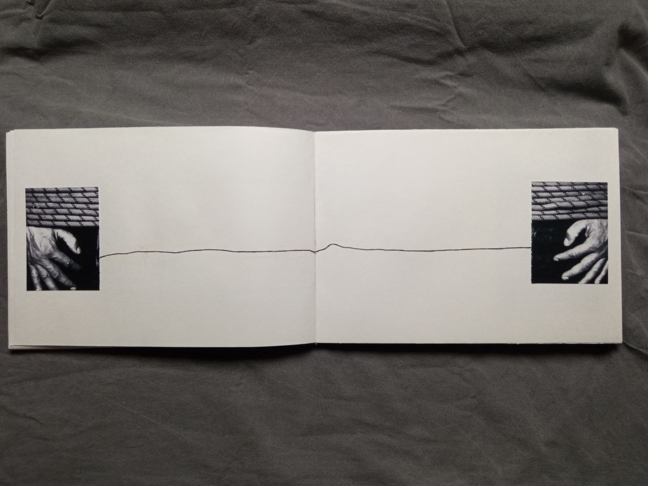 Максим Юданов | Деревья, трава и камни. Private image