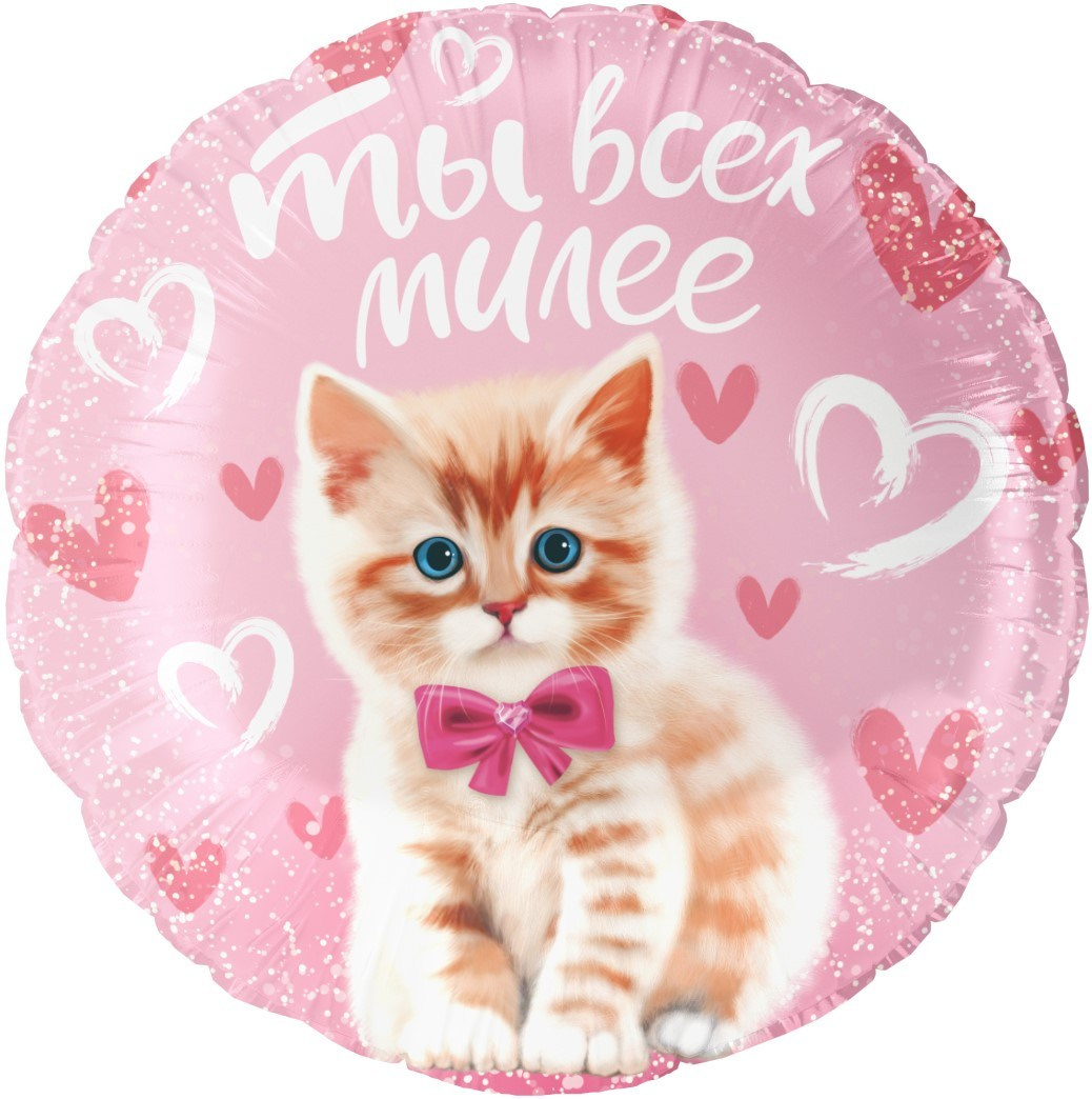 Для девочек. Аэродизайнер Елена Лин