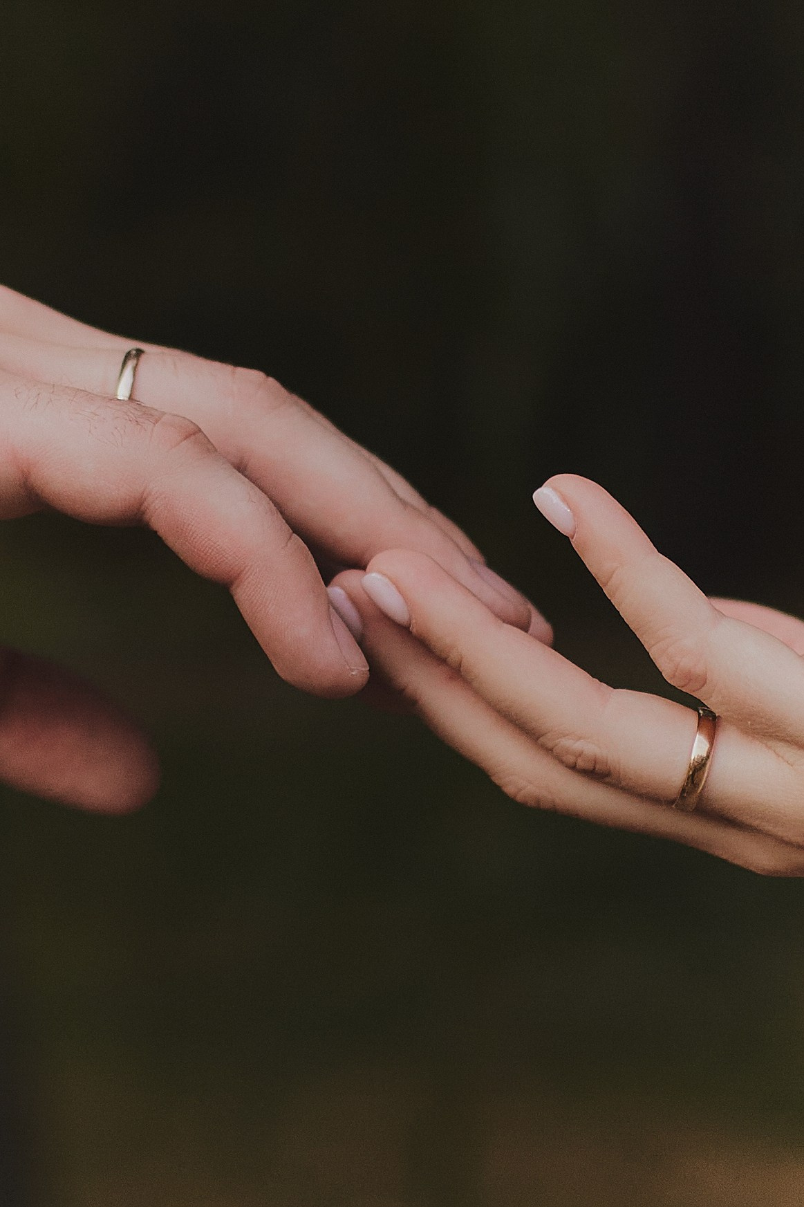 Денис и Анастасия 24.09.2024. Свадебный и портретный фотограф в Москве Когырина Мария