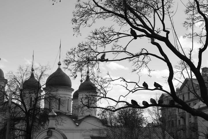 Серия «Москва. Моменты жизни!. ANNA PAVLIKOVSKAYA ЧЕРНО-БЕЛАЯ ФОТОГРАФИЯ — ЭТО Я