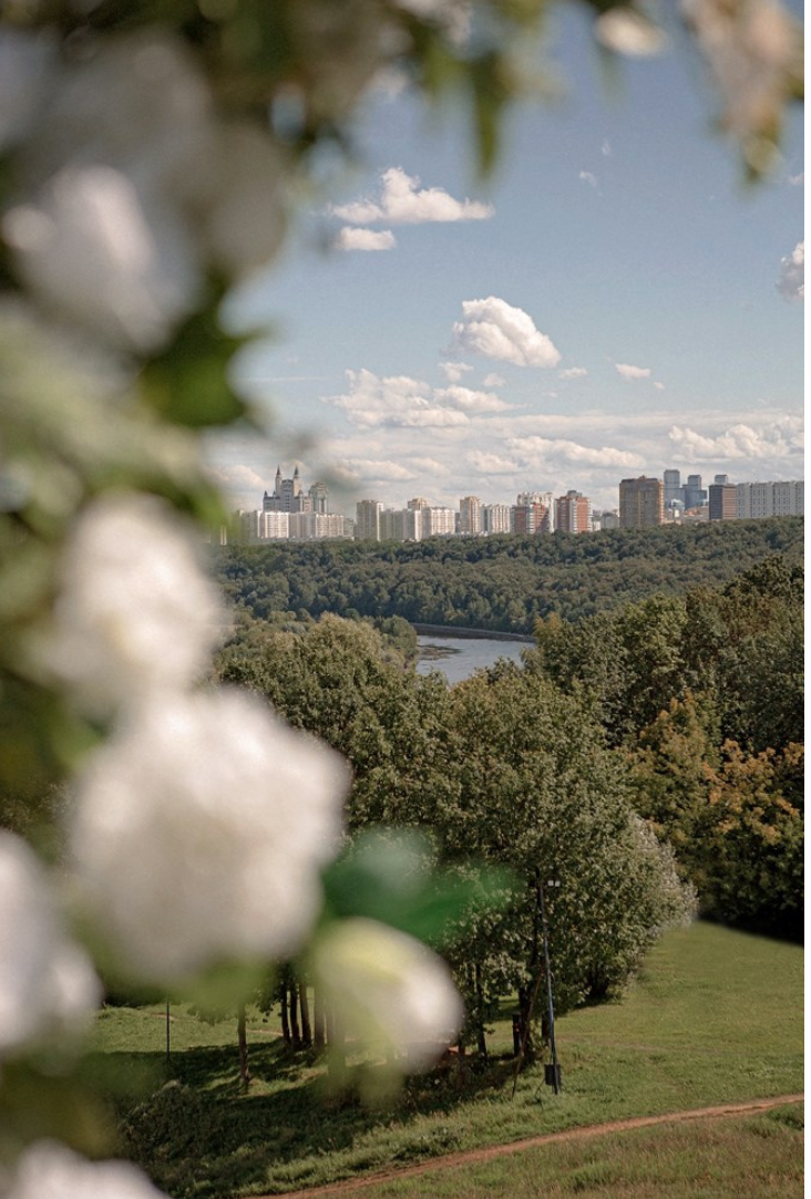 Площадка № 2-16. Свадебный организатор Москва