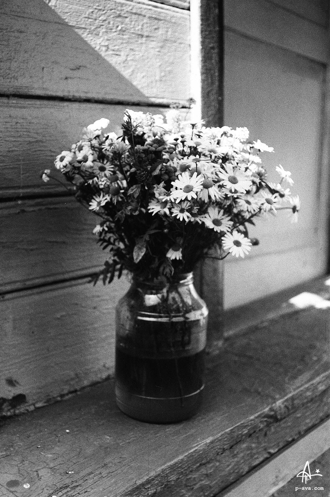 Букет полевых цветов, пленка Shanghai GP3