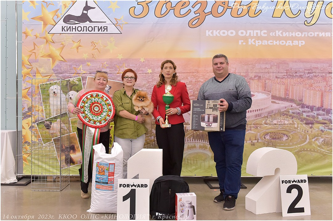 Репортаж. Фотограф анималист | семейный Юлия Вакуленко, г. Краснодар