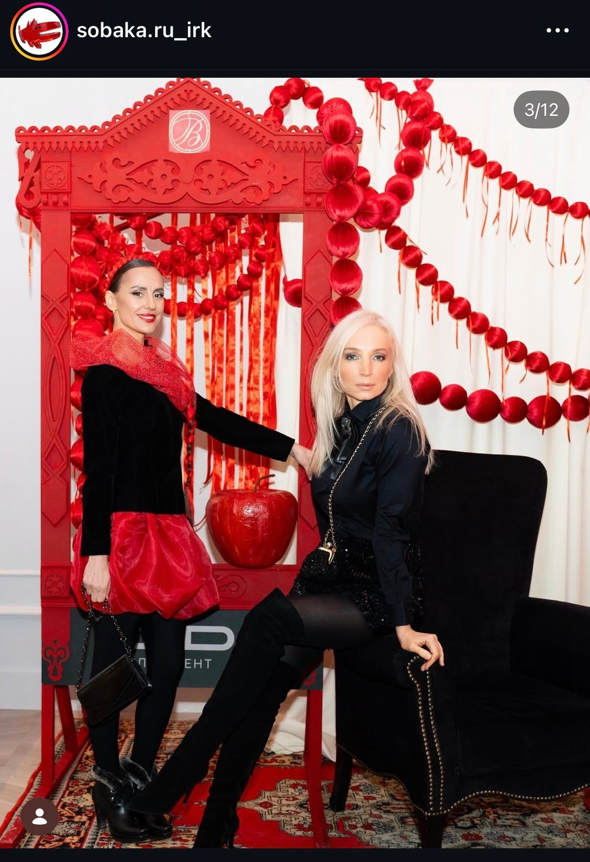 Собака. Для тех, кто не ждёт удачи, а создаёт её. Каждая фотосессия — это твой момент, твой стиль, твой успех. 📸