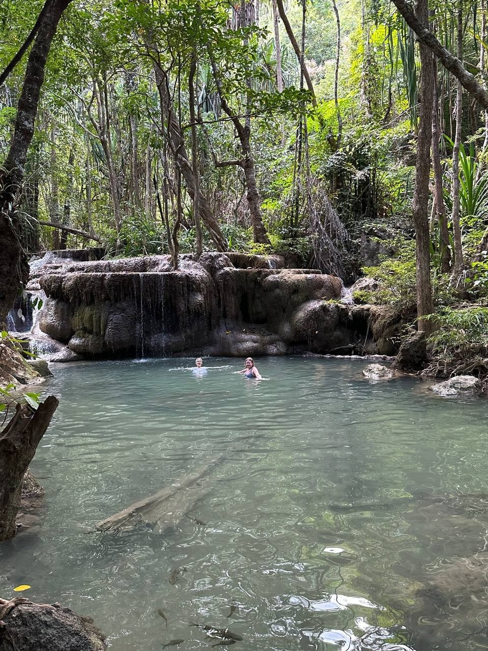 Таиланд | январь–февраль 2024. Галерея Фантим