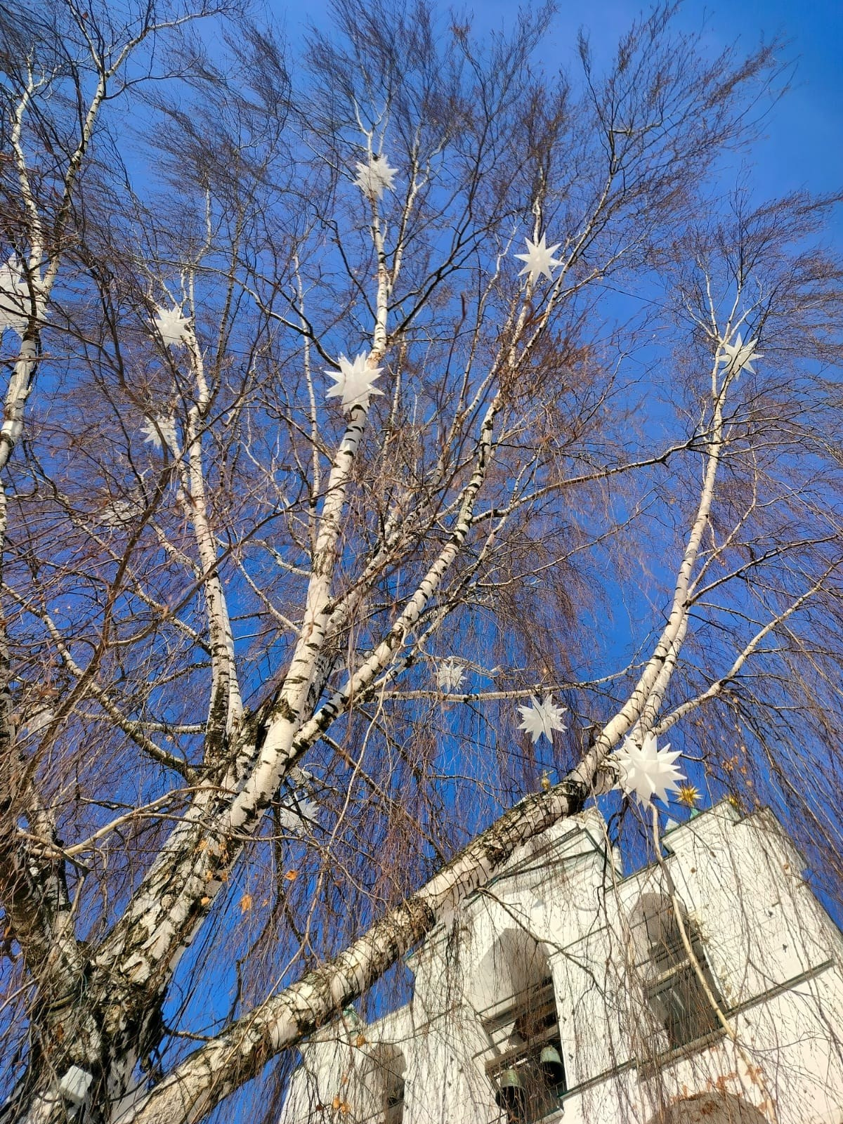 Ярославль | 02-03.03.2024 г. Галерея Фантим