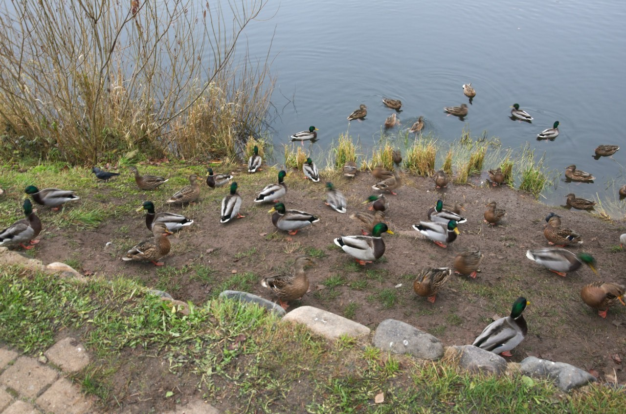 Вологда | 24-25.10.2015. Галерея Фантим