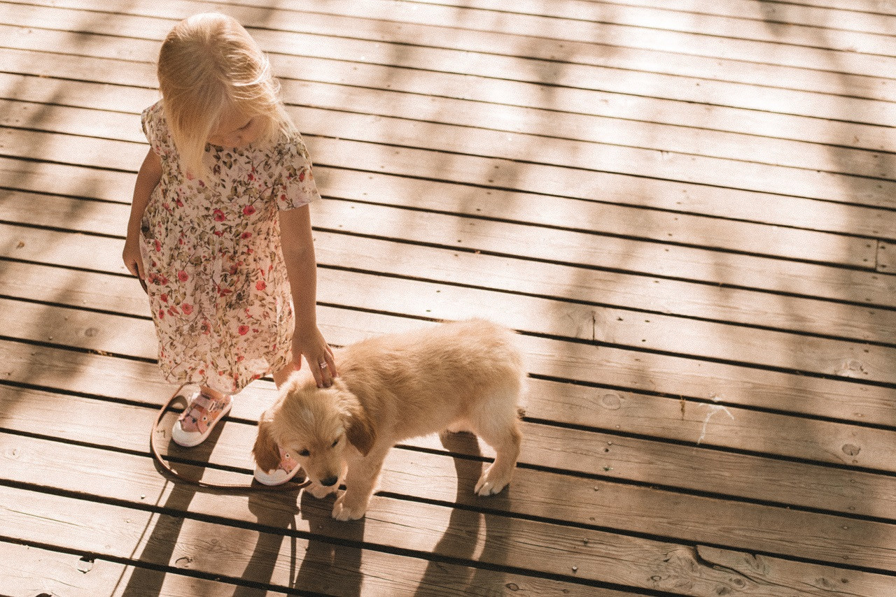 ФОТО ПРОГУЛКА. Семейный и женский фотограф в Москве Доминова Елена