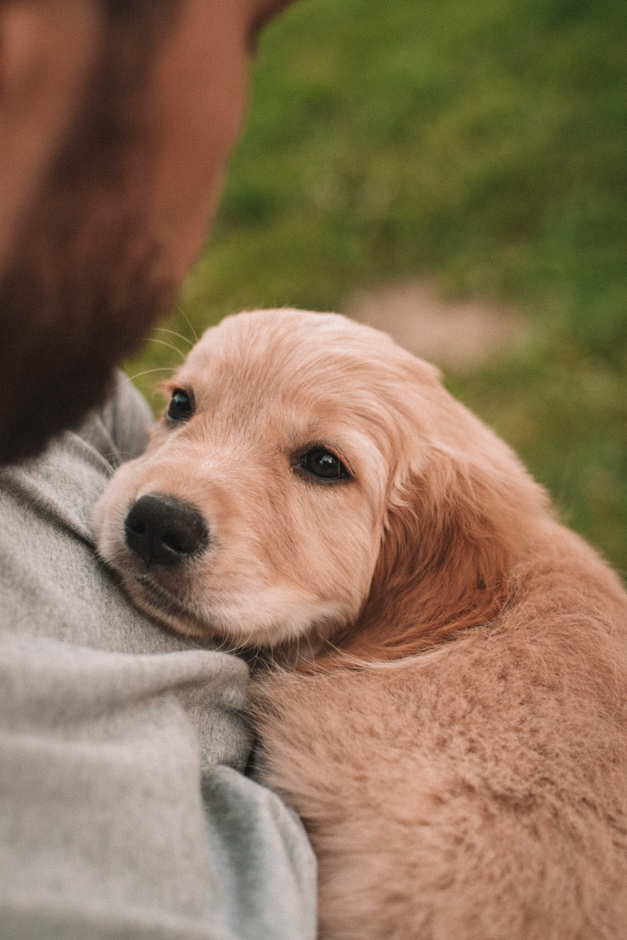ФОТО ПРОГУЛКА. Семейный и женский фотограф в Москве Доминова Елена