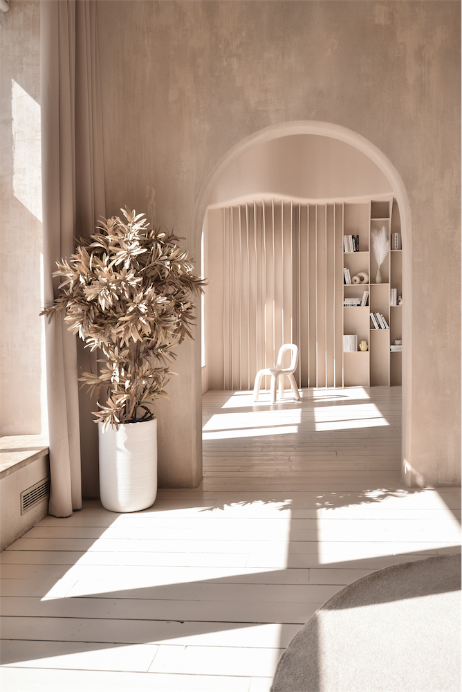 Фотодень «Душа Балета», Москва. Балетный фотограф Алина Ханько — Душа Балета