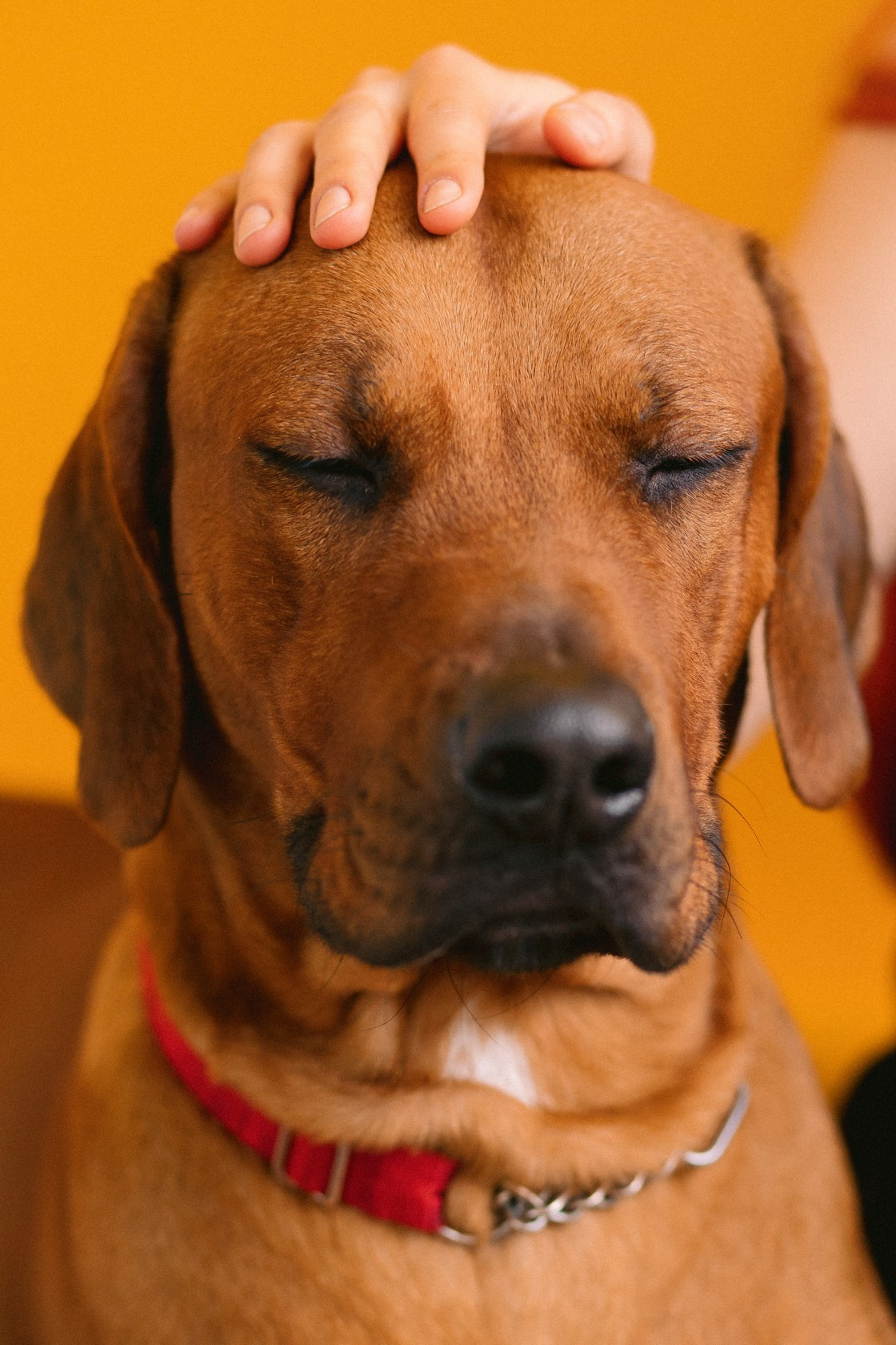 Виктория и Клинч