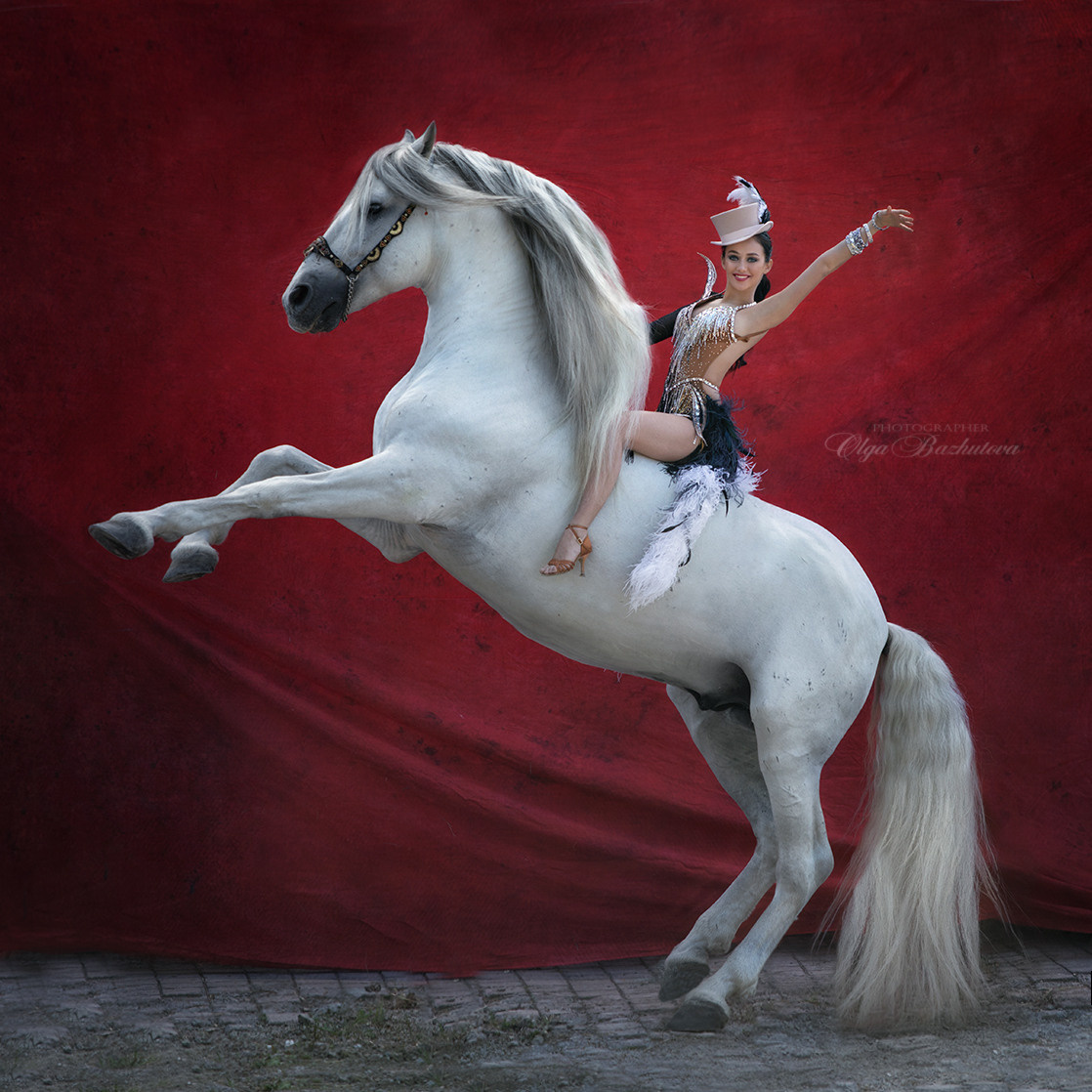 Художественные проекты. Ольга Бажутова конный и портретный фотограф в Москве