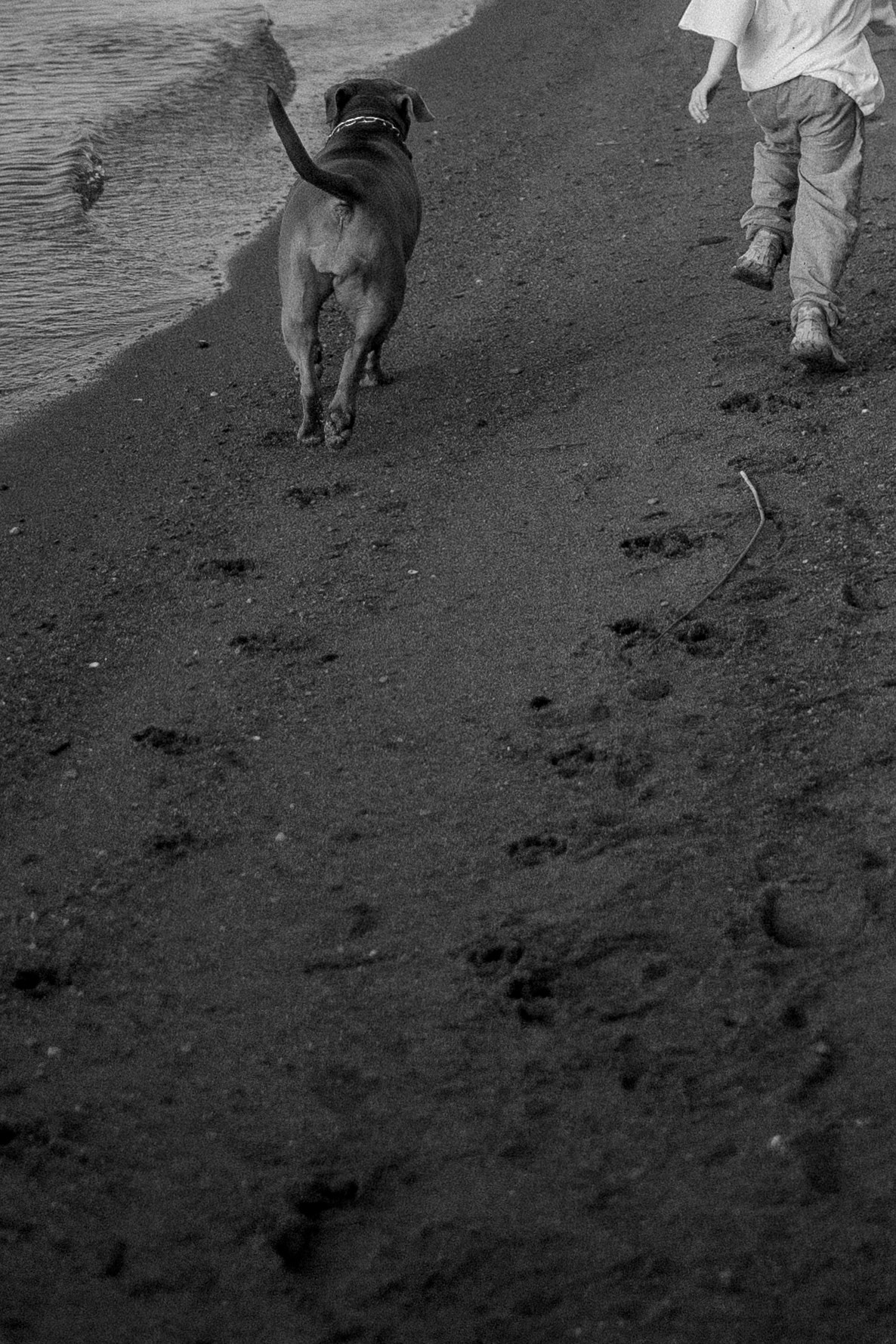 Бонни и ее семья. Фотограф — Анималист | Санкт-Петербург