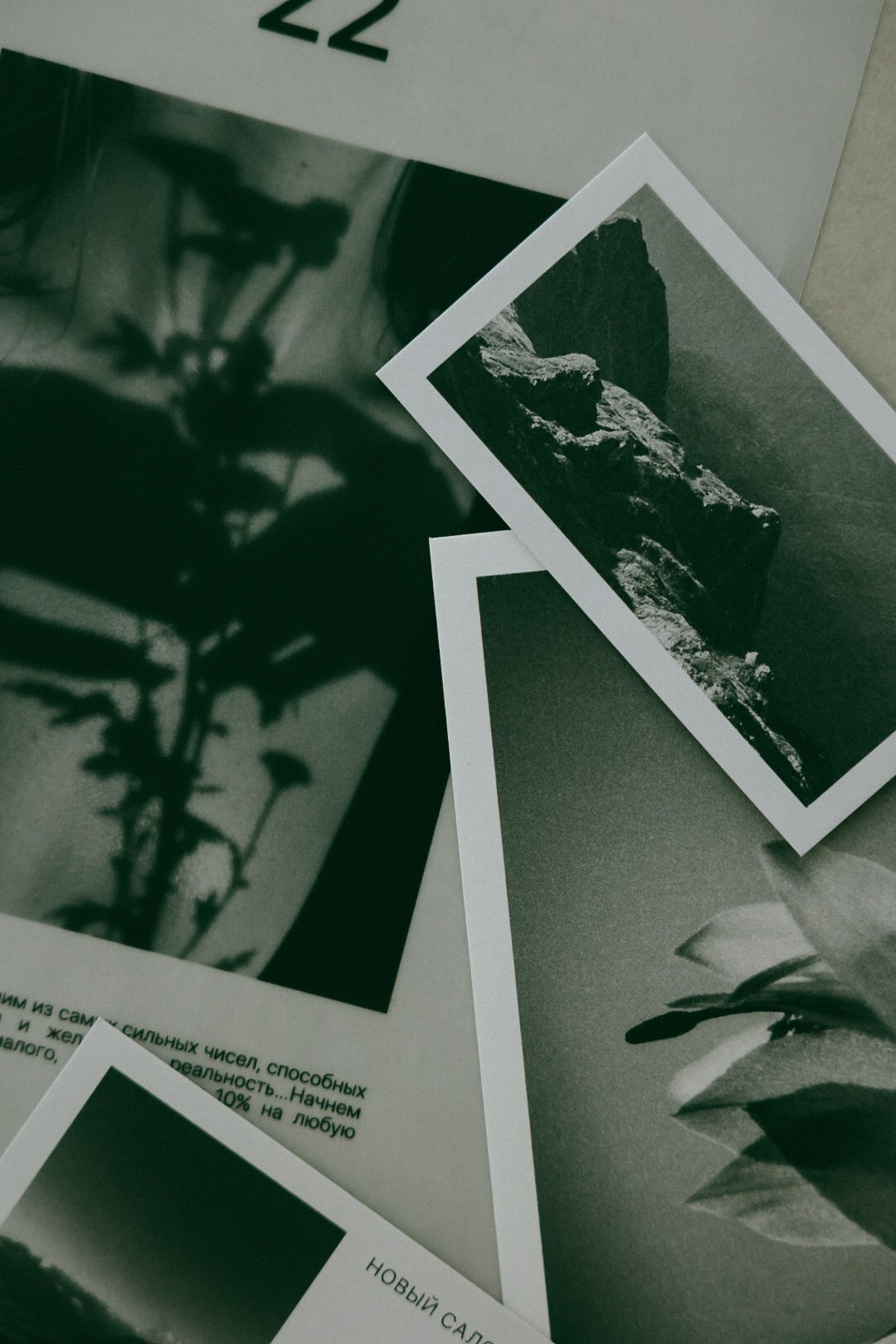 22 zima. Фотограф Нижний Новгород