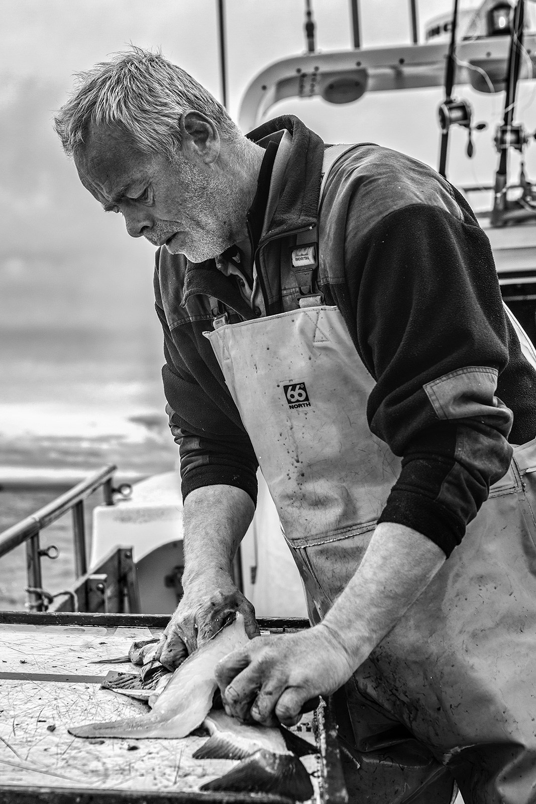 Случайные встречи. Фотограф Владимир Остапенко