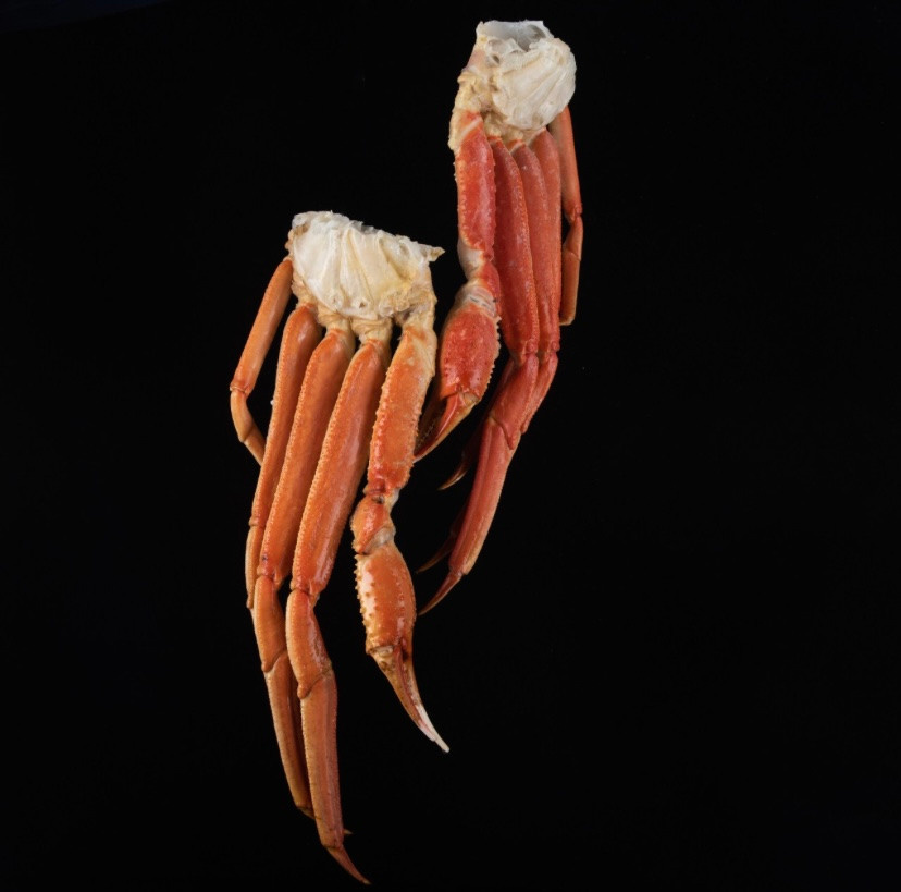 МОРЕПРОДУКТЫ. Раптовый Александр Предметный и рекламный фотограф в Москве