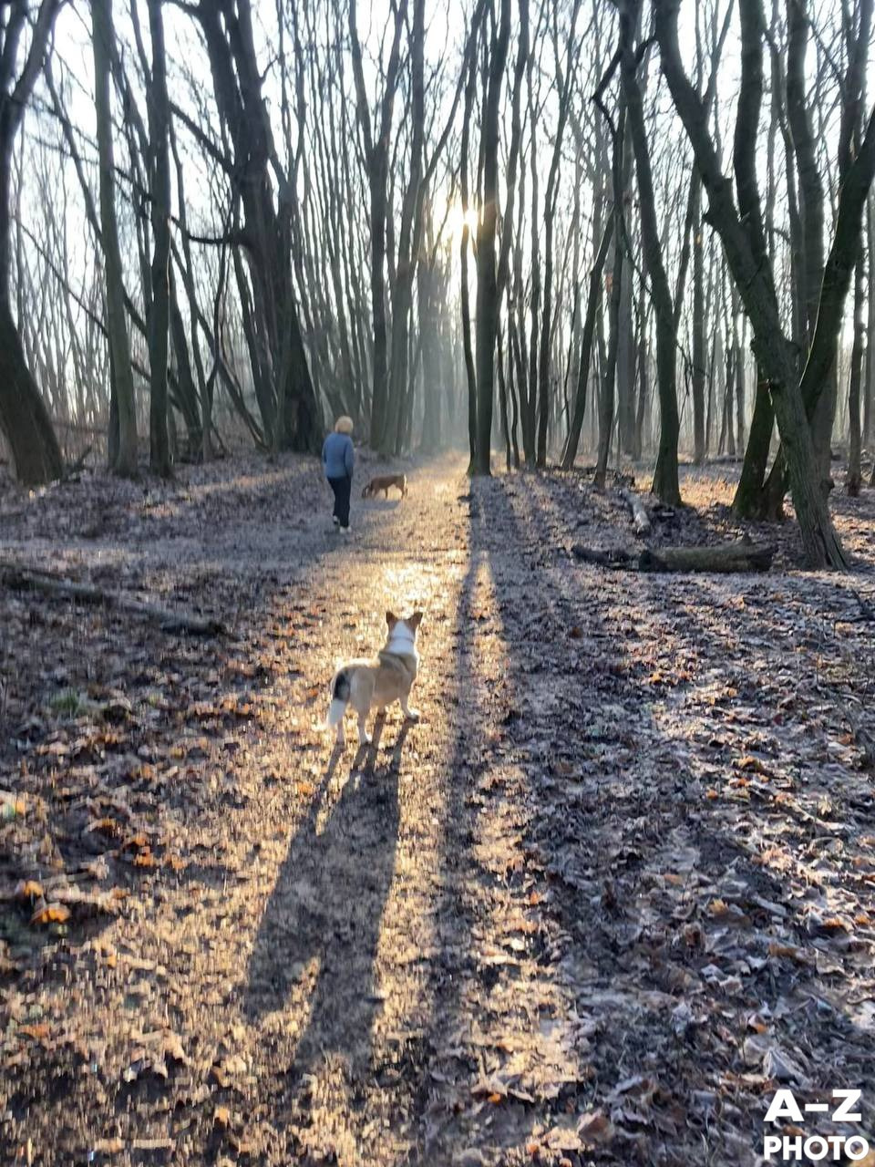 #ФОТОНЕДЕЛИ 08.12.2025. Женский семейный фотограф Тула Москва Захарова Анна
