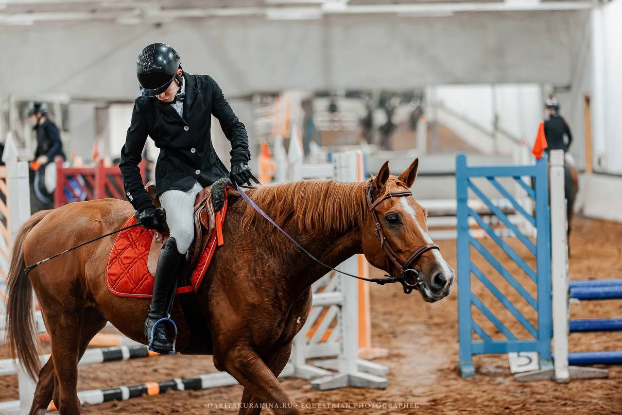 ЧЕМПИОНАТ РАМЕНСКОГО ГОРОДСКОГО ОКРУГА ПО КОНКУРУ в КСК «СОЗВЕЗДИЕ». Куракина Дарья • Конный фотограф
