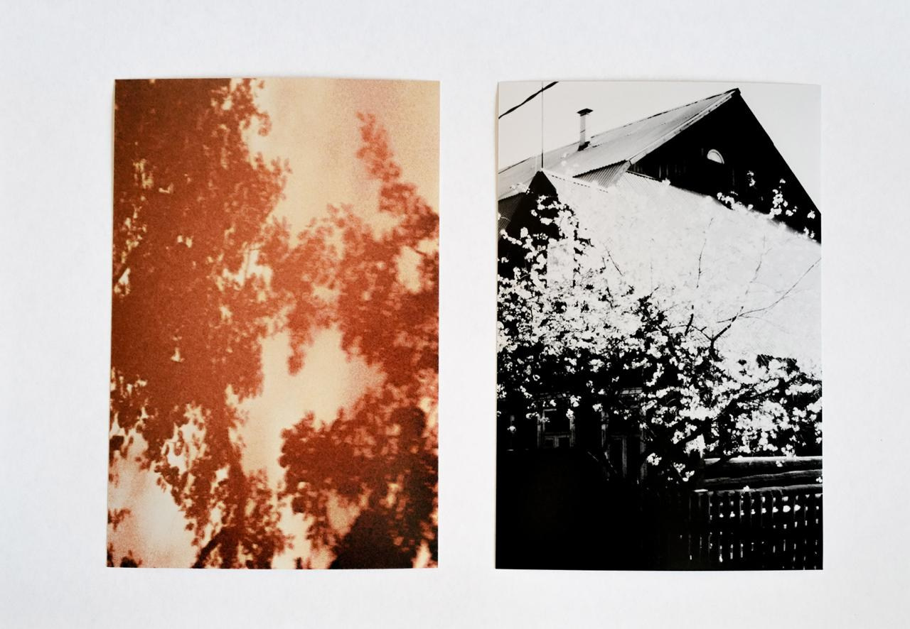 RANDOM. Nik Paustovskiy photography