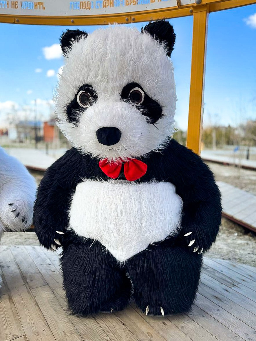 Эксперсс поздравление.ростовые куклы, медведь, панда, горилла. Организатор праздников. Ведущая Марина Гребенникова