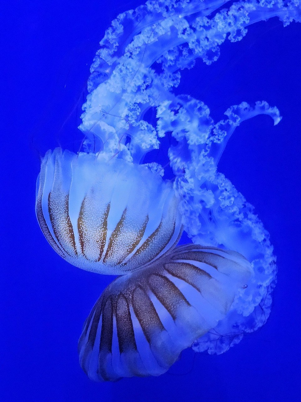 Вдохновение, Открытая, Вадим Богатиков, Самара, SPC Silver