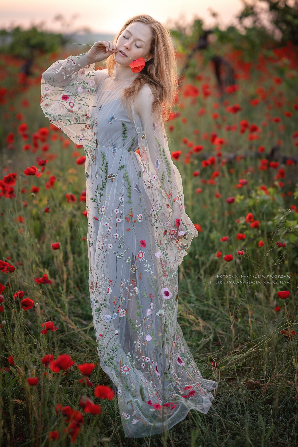 Маковое поле. Проверка