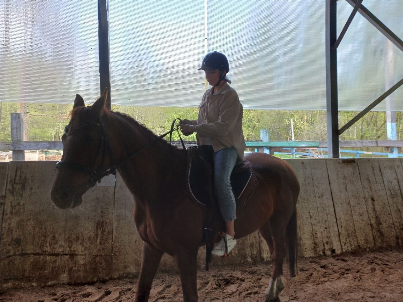 Лошадинг | 30.03.2024. Галерея Фантим