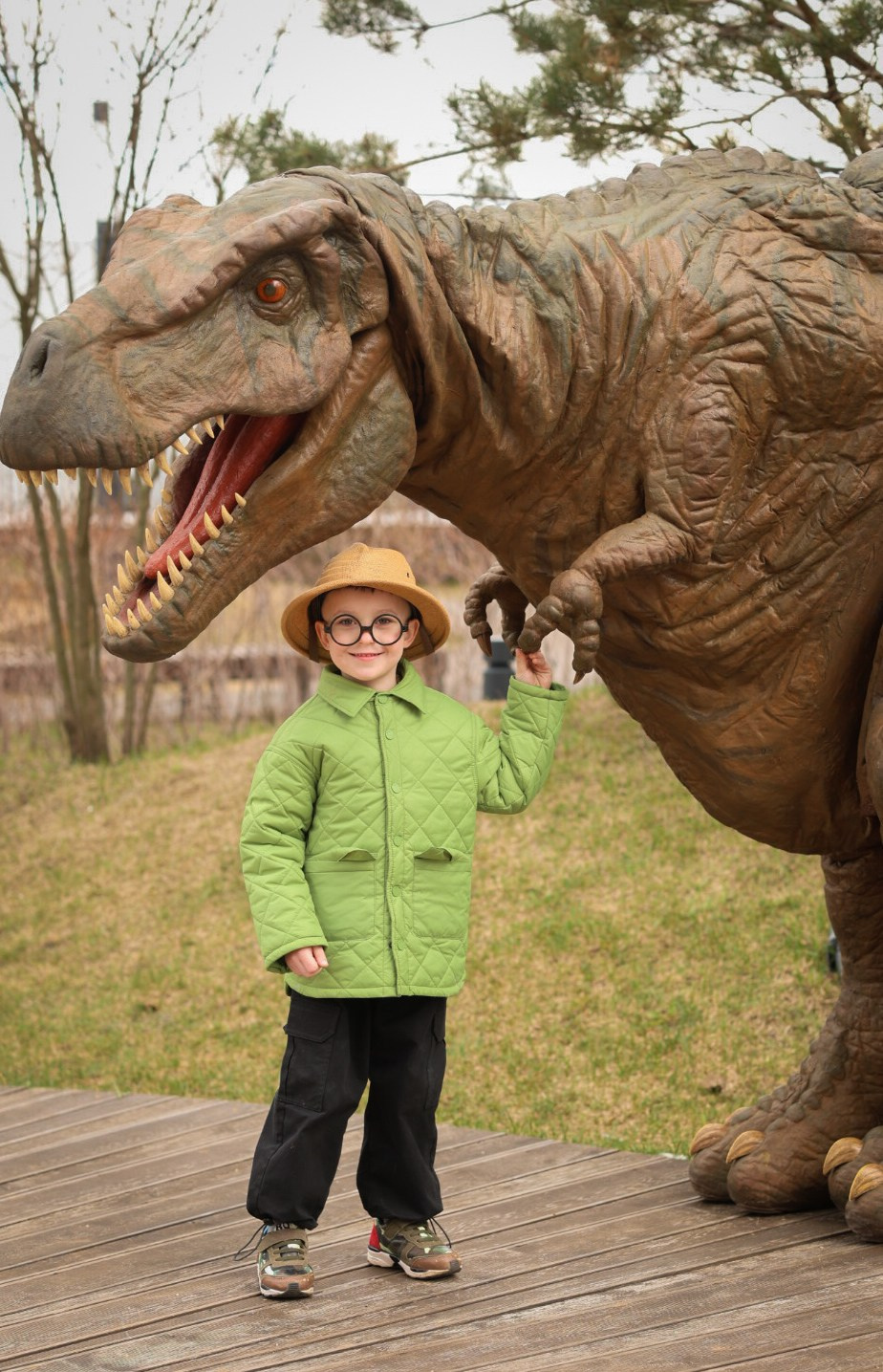 Косте 6 лет Дино пати. Семейный фотограф Москва детский фотограф Одинцово фотосессия беременности Рогачева Екатерина