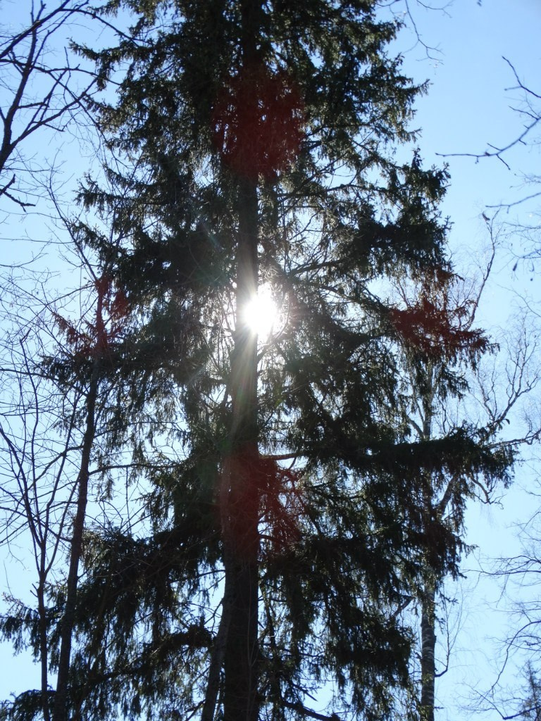 «Весенний переполох» Загородный выезд | 16-17.04.2016. Галерея Фантим