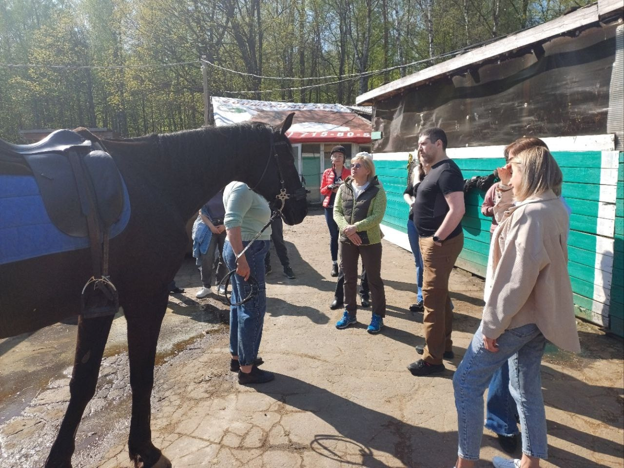 Лошадинг | 30.03.2024. Галерея Фантим