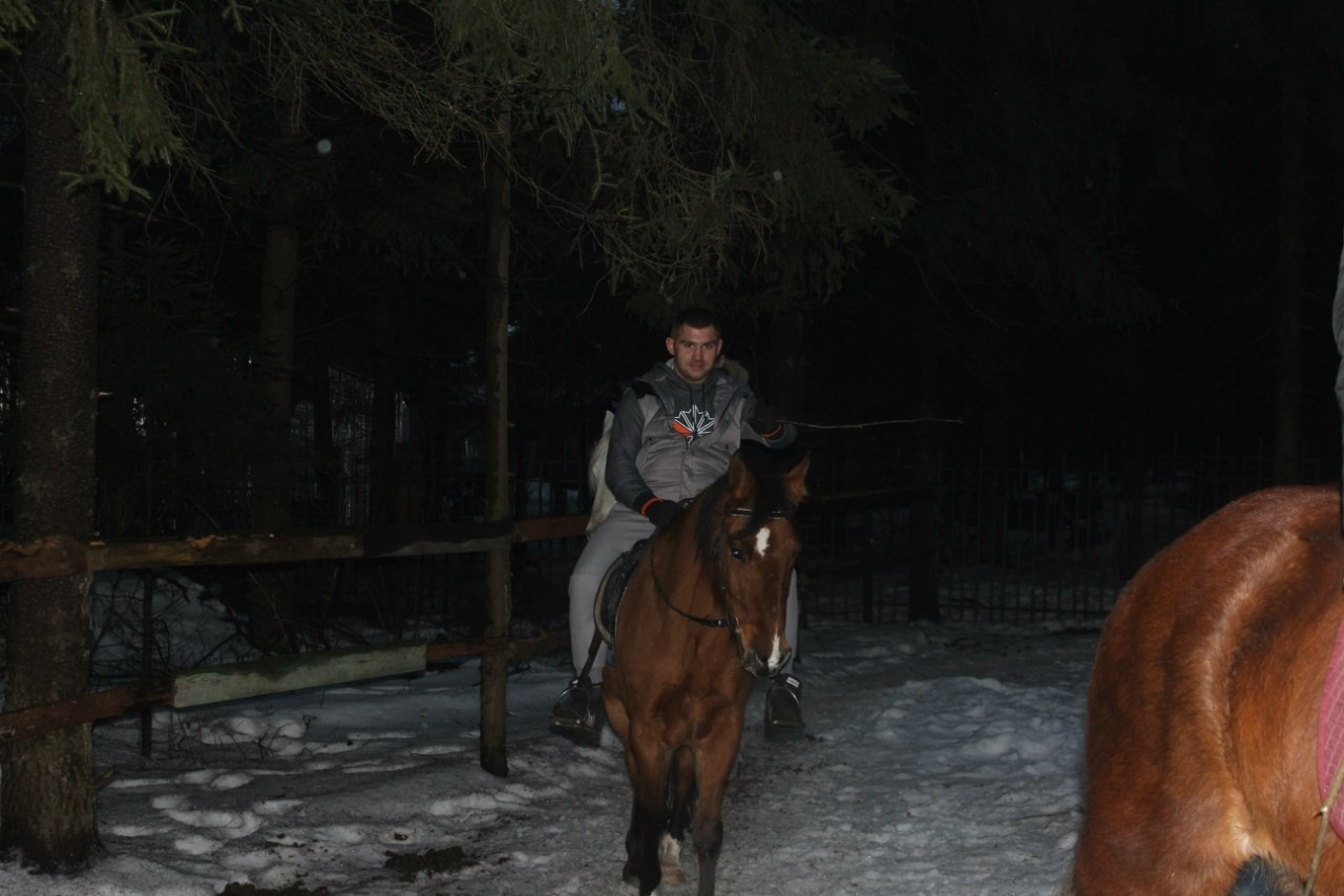Лошадинг | 01.03.2015. Галерея Фантим