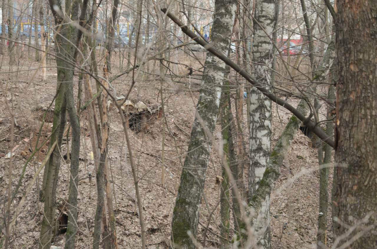 Середниково — Piligrim Porto — Братцево — Сходненская чаша | 09.04.2016. Галерея Фантим