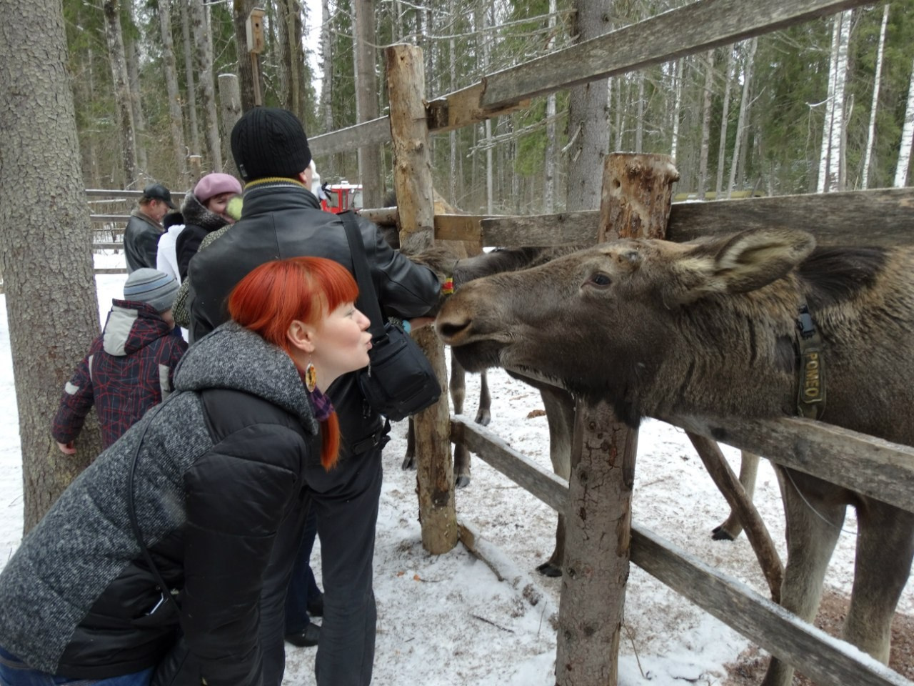 Кострома | 21-22.03.2015. Галерея Фантим