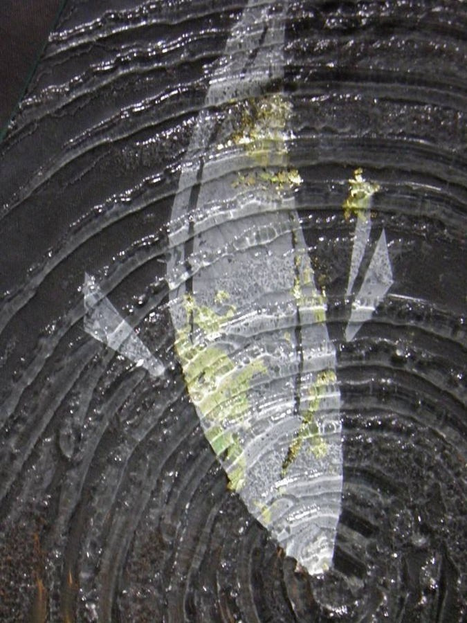 Афиногентова Анна Валерьевна. Галерея участников Российской Премии Искусств