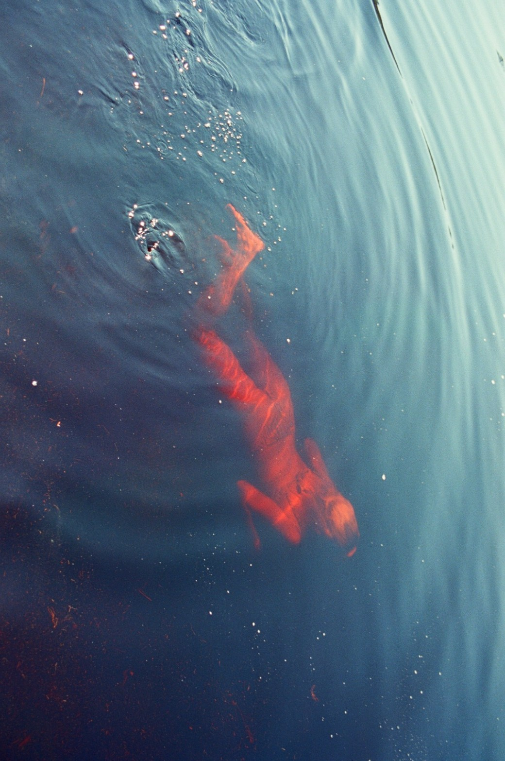 «Искусство XXI века» Краснодар. ARTEXPOPHOTO