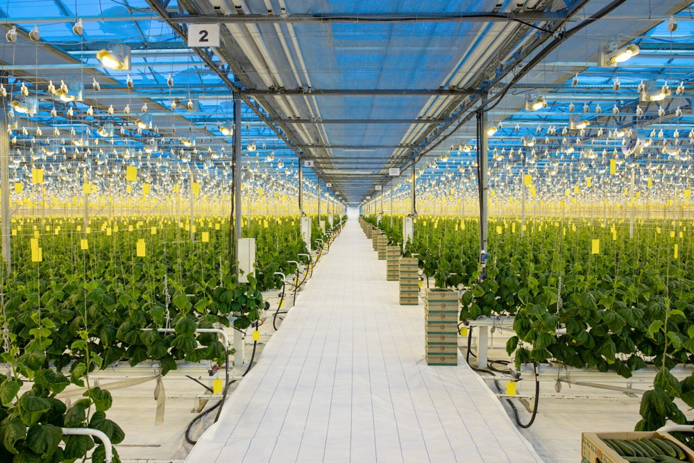 Промышленная рекламная индустриальная фотосъемка  - Портфолио фотографа. Промышленный фотограф | Бизнес-фотосессии | Казань и РФ