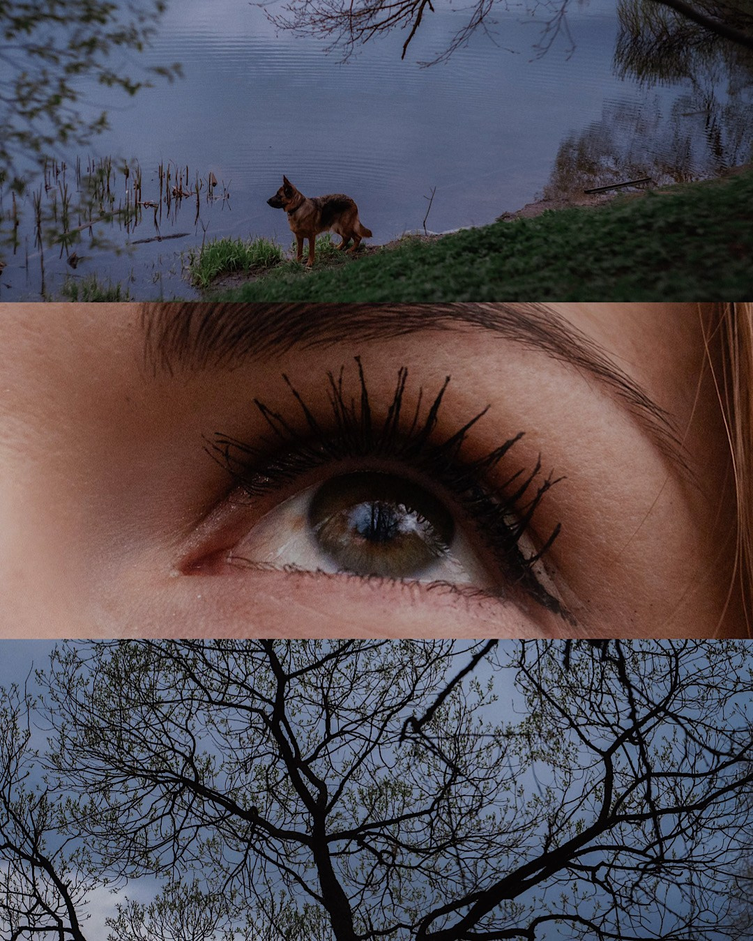 Евгения и Берта. Фотограф анималист в Москве и Санкт-Петербурге Свиридова Анна