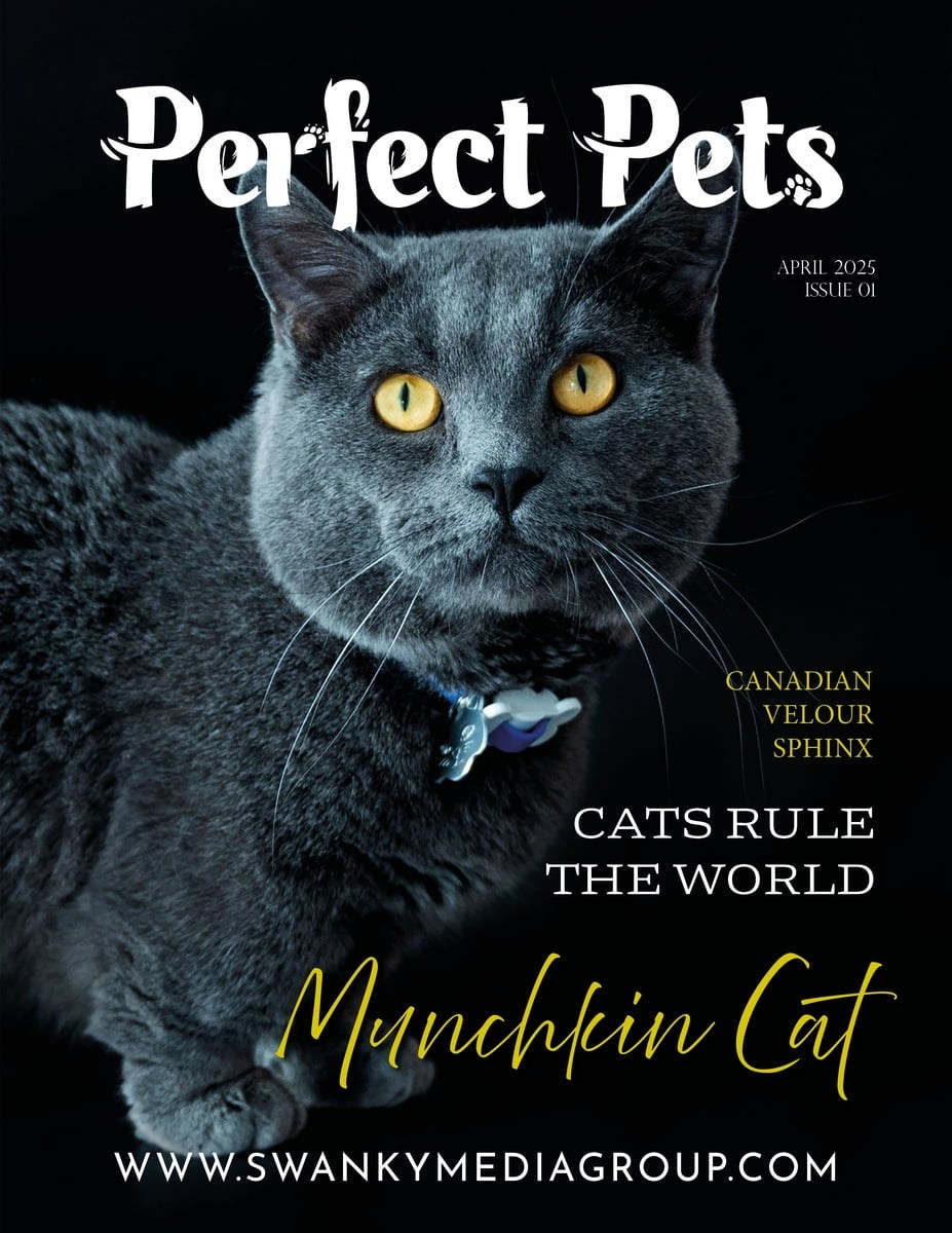 Публикации. Фотограф анималист